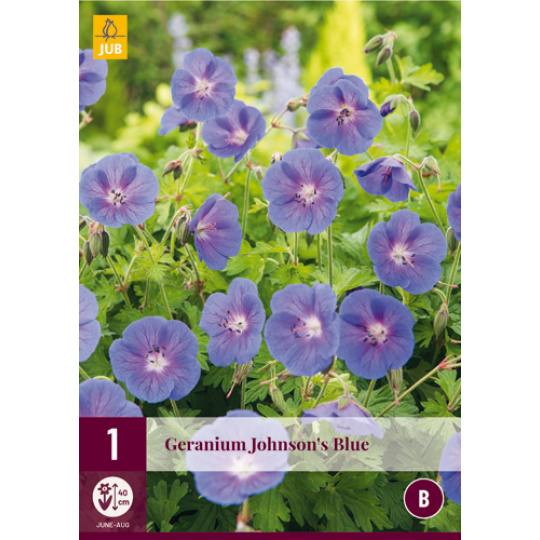 Karta - Geranium JOHNSON´S BLUE (1 hlíza) "B"