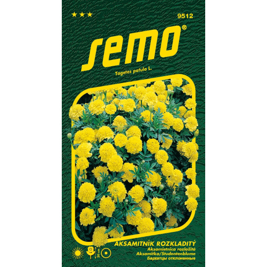 Aksamitník rozkladitý - Lemon drop 1g (ZÁRUKA 2025)