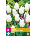 Karta XXL - Tulipán - Triumph White ( 20 cibulí) "E"