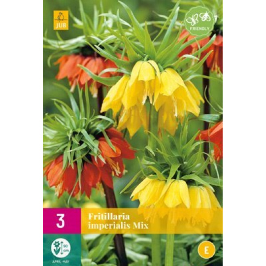 Karta XXL - Řepčík - Fritillaria Imp. Mix (3 cibule) "E"