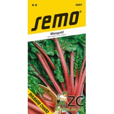 Mangold - Rhubard Chard zelený 3g