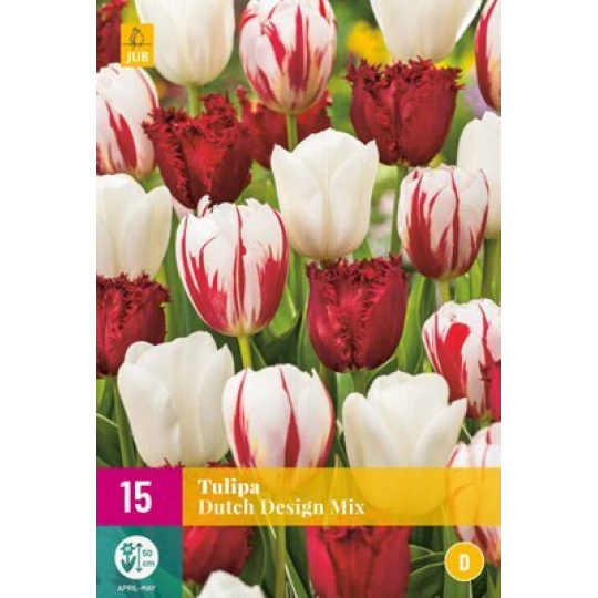 Karta XXL - Tulipán - Dutch Design Mix (15 cibulí) "D"